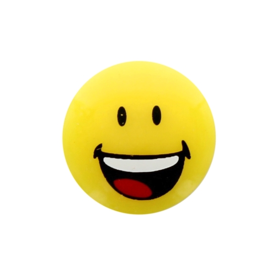 Smile Emoticon Face Flatback Craft Embellishment