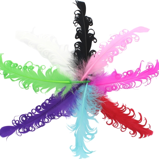 Curly Nagori Goose Feathers 12pcs