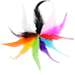 Pointy Hackle Feathers 12pcs