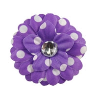 2.25" Polka Dot Daisy