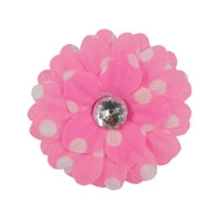 2.25" Polka Dot Daisy