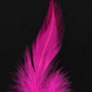 Pointy Hackle Feathers 12pcs