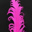 Curly Nagori Goose Feathers 12pcs