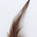 Pointy Hackle Feathers 12pcs