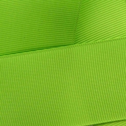 Apple Green Grosgrain Ribbon HBC 550