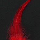 Pointy Hackle Feathers 12pcs