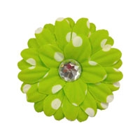 2.25" Polka Dot Daisy